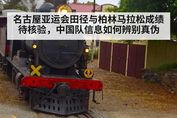 名古屋亚运会田径与柏林马拉松成绩待核验,中国队信息如何辨别真伪